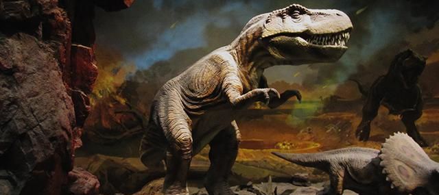 非洲最强猛兽排名 草原霸主究竟有多厉害