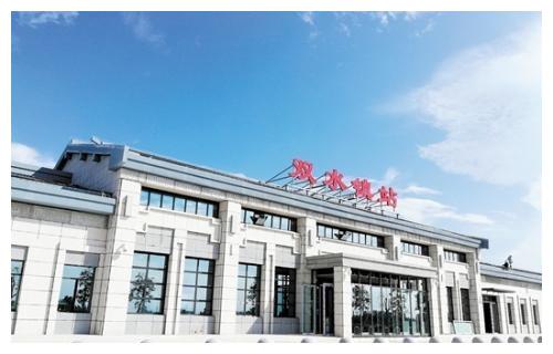 双水gdp_砥砺奋进的五年双水镇:推动集群经济发展打造产业强镇