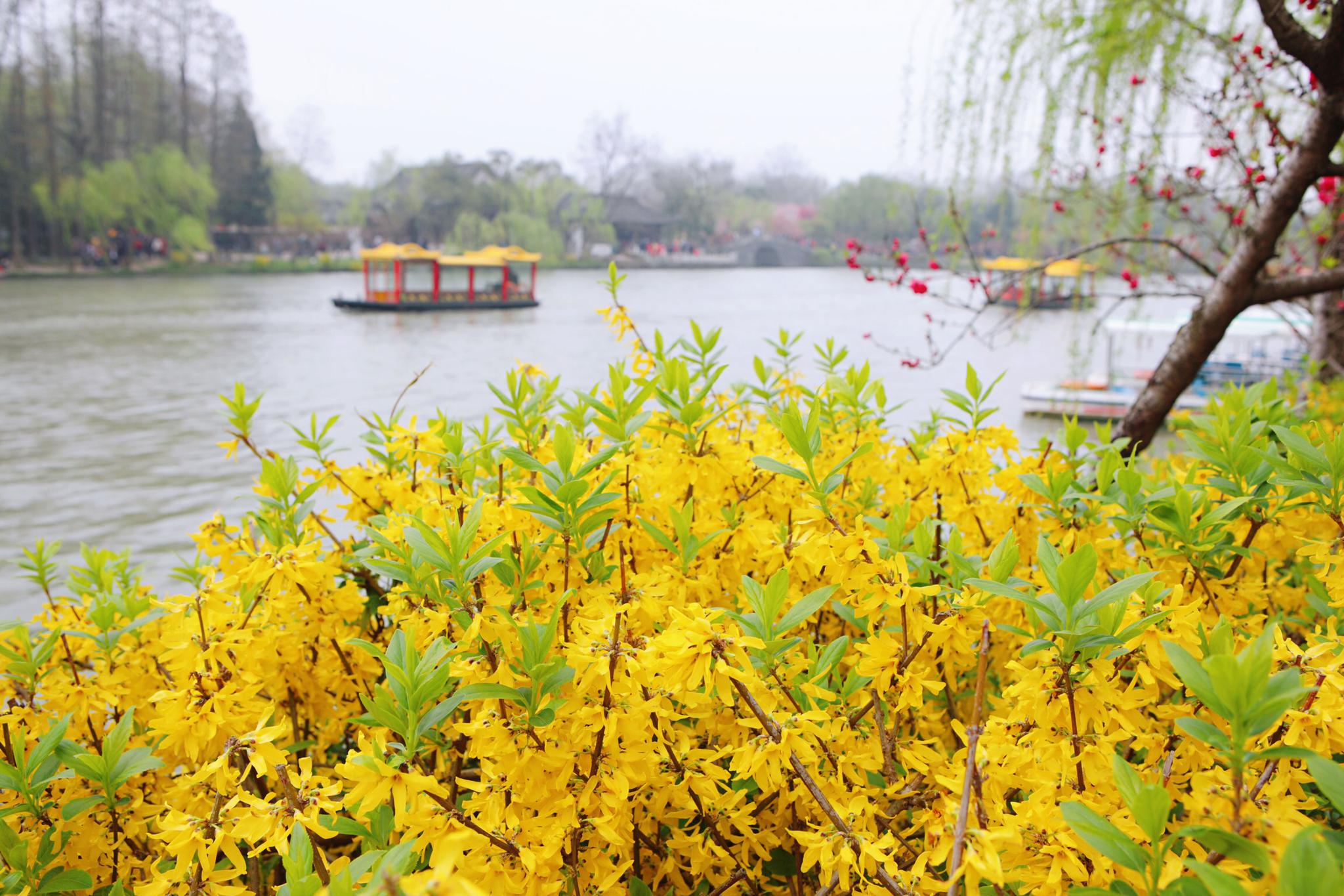 三月扬州究竟有多美?多少代诗词都在赞美!