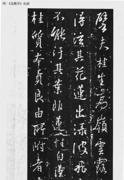 ֮鼼ѧϰ
