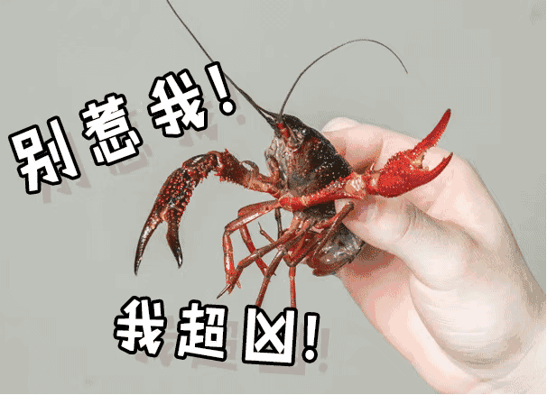 在武汉必吃的十大美食