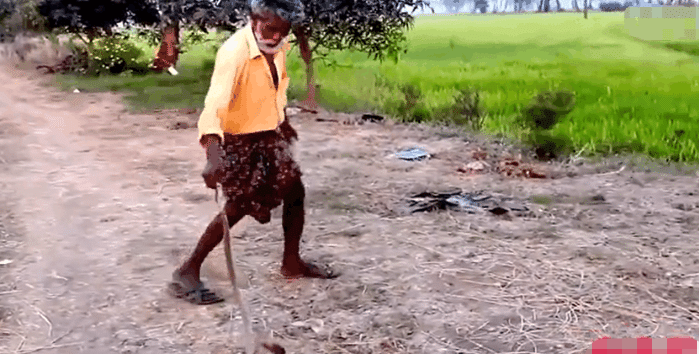 实拍 男子徒手抓获一条眼镜蛇， 从眼镜蛇头上取出一颗“宝石”