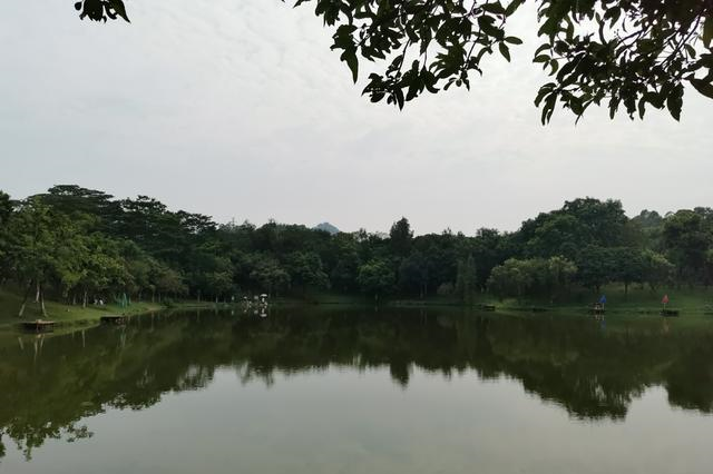 打卡大夫山森林公园，单车骑行感受风的速度