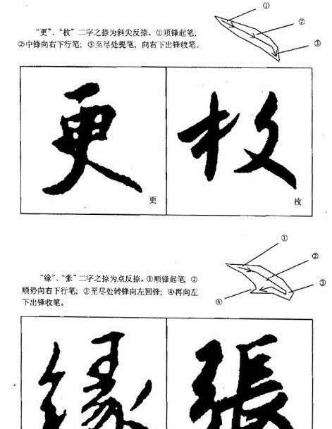 ֮鼼ѧϰ