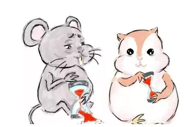 禁毒漫画 | 画说禁毒