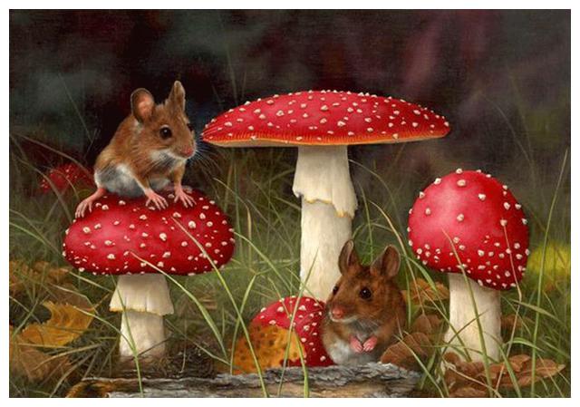 创意儿童画绘画教程｜蘑菇森林中的小精灵