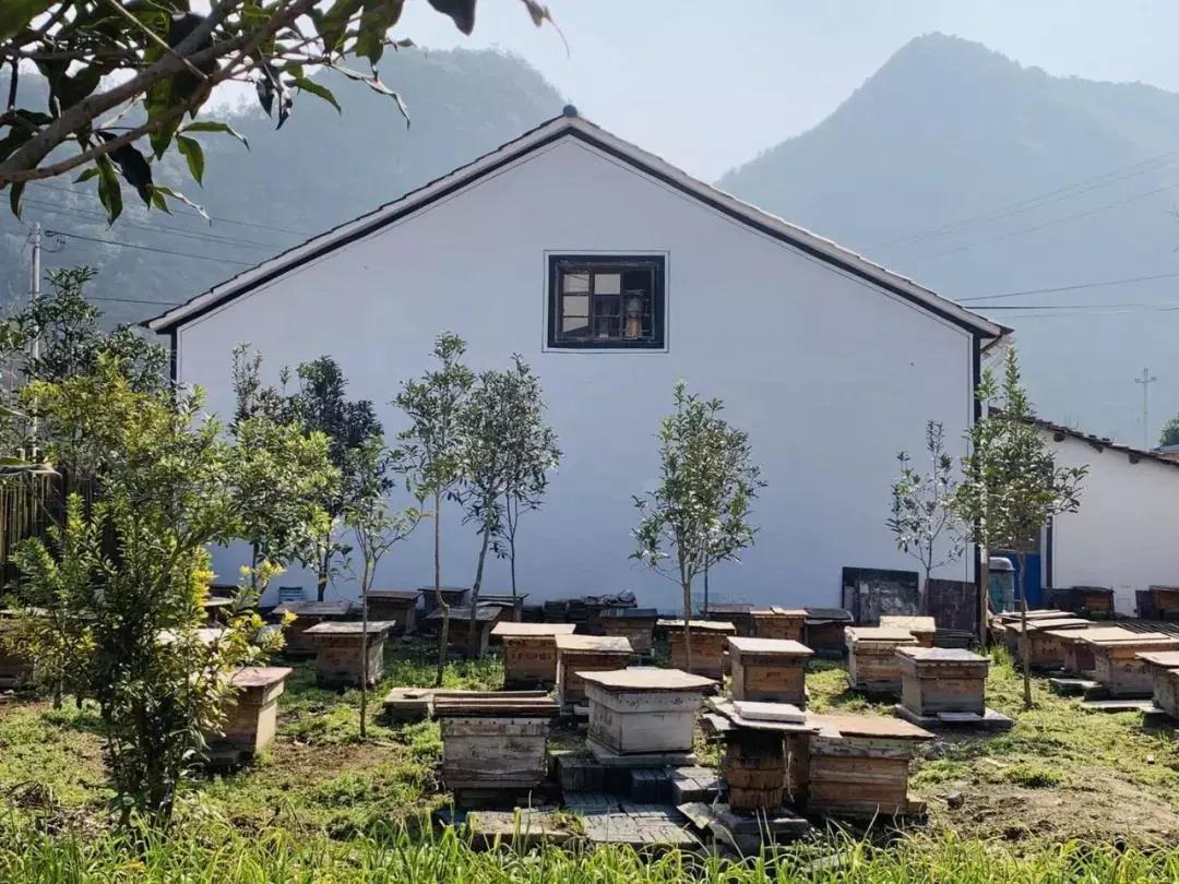 田间地头灯谜猜、湖源溪边板龙舞、花灯放.正月十三去富阳湖源