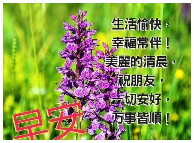 非常温暖的早上好祝福语温馨早上好问候暖心祝福语图片