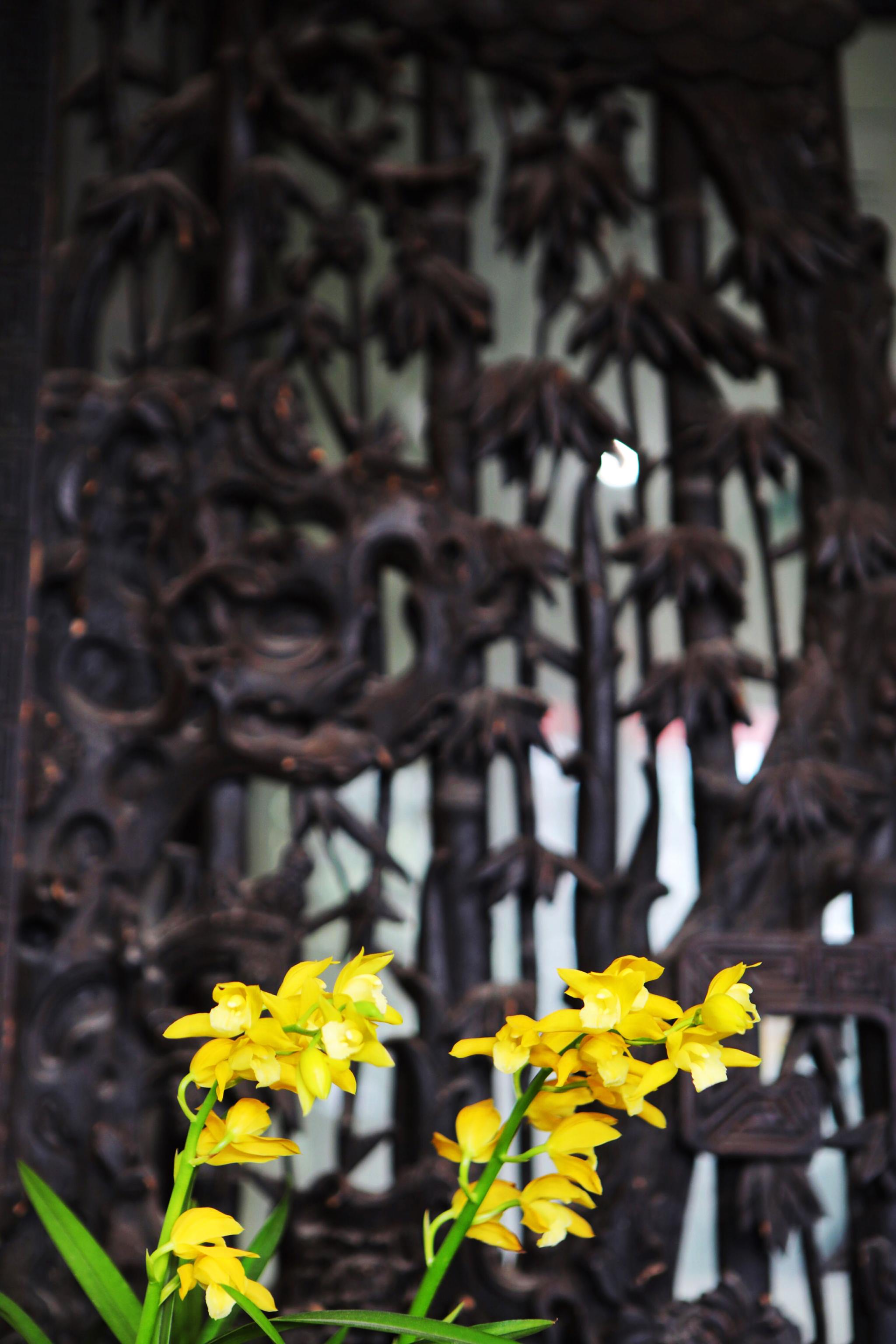 三月扬州究竟有多美?多少代诗词都在赞美!