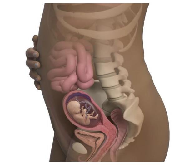 胎动 孕期最幸福的感觉 孕妈怀孕多久能感觉到 是什么体会