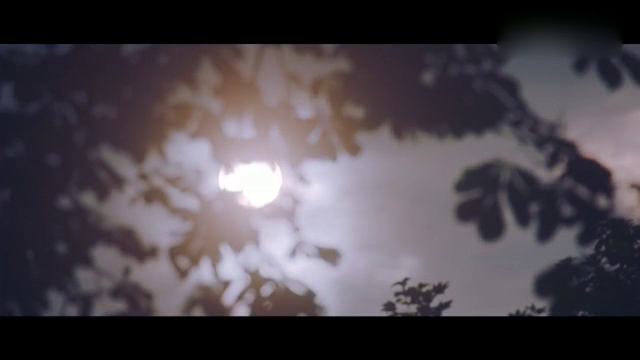 雷克萨斯LC500——在古德伍德的速度节上令人叹为观止