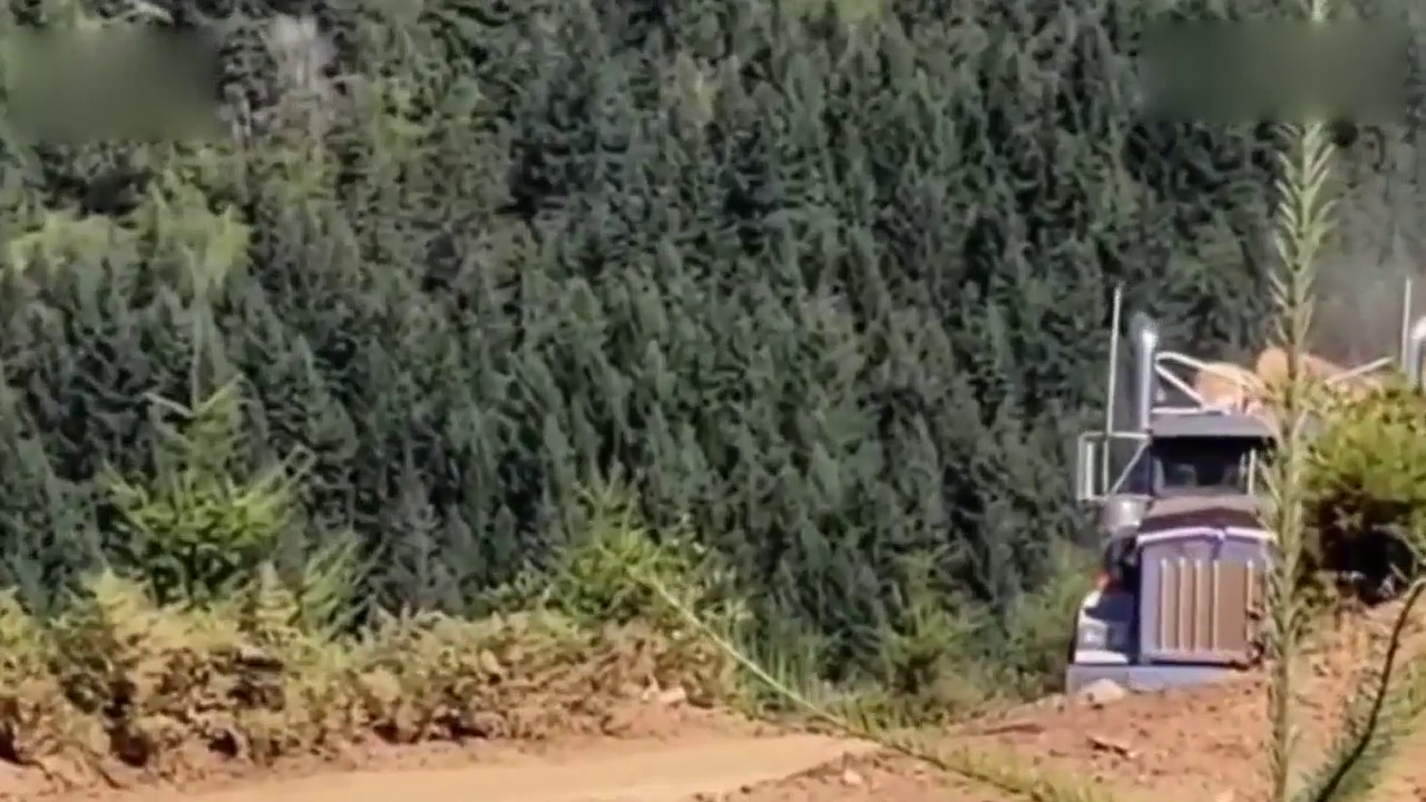 卡车的尽头，重型卡车冒险