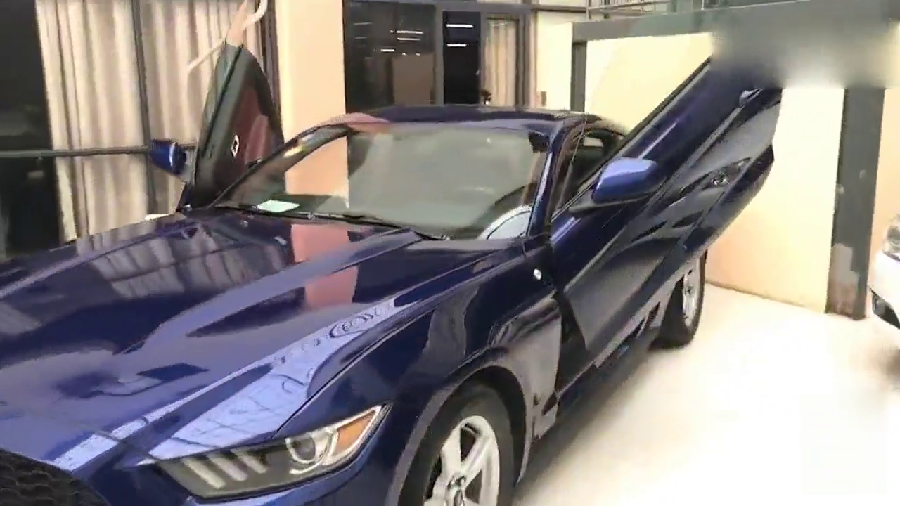 见过剪刀门的野马跑车吗