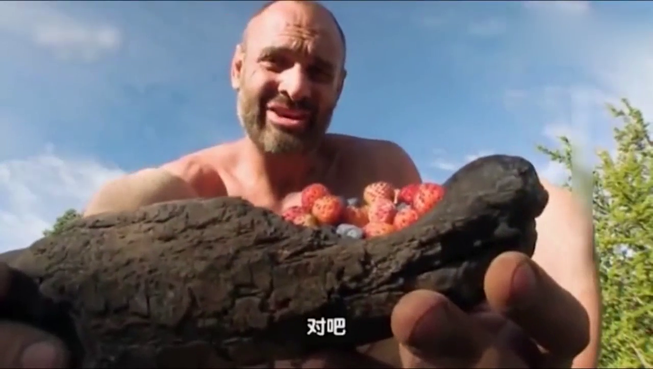 单挑荒野:德哥吃的真香,都看饿了,下雨天他这样保护火