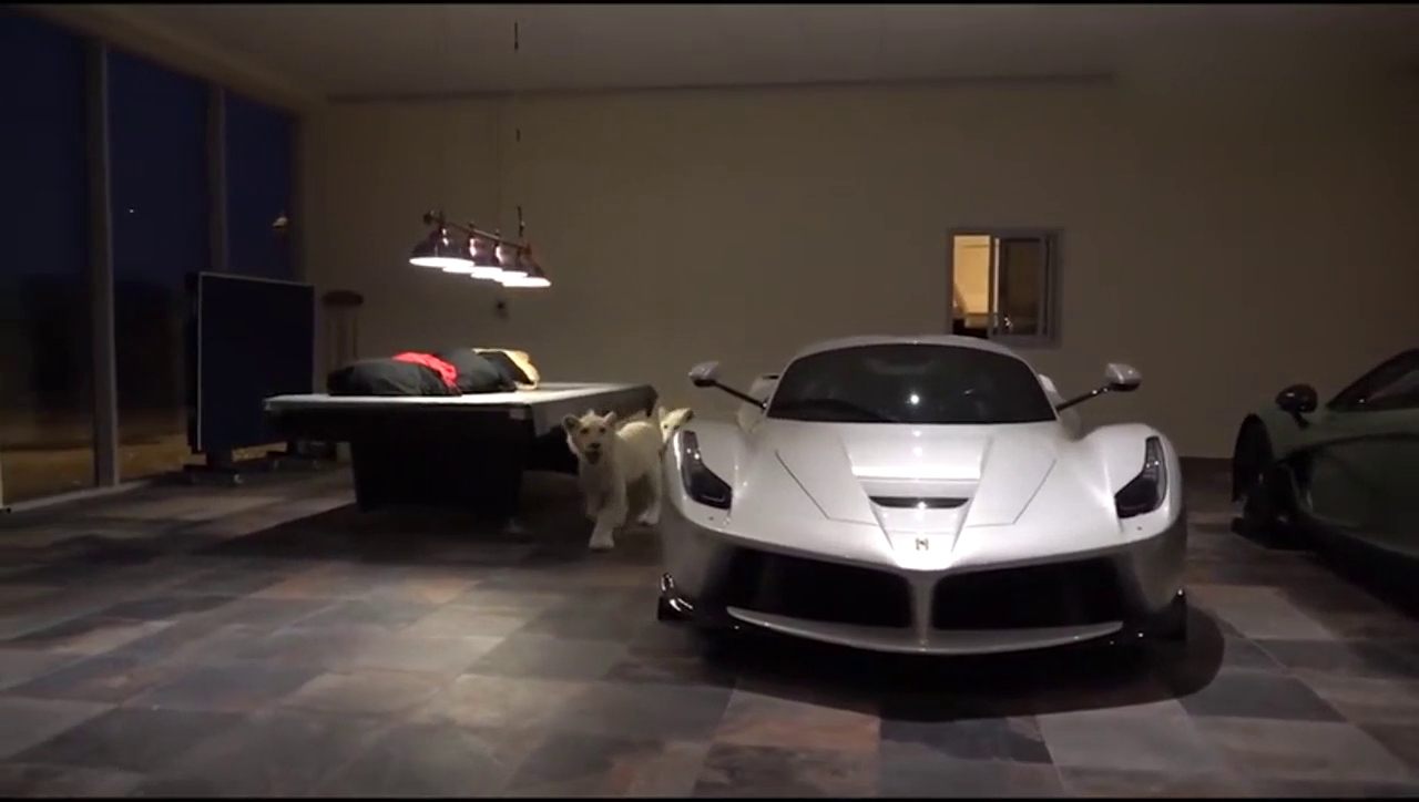 买4000万法拉利跑车送了两只小狮子，感受一下什么才叫土豪！