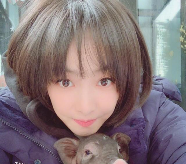 罗云熙晒图提问几只猪发型亮了,宋茜抱猪小八
