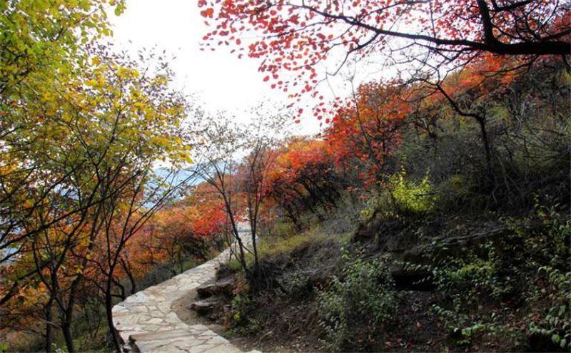 北京及周边地区徒步路线推荐一： 房山波峰岭红叶徒步路线