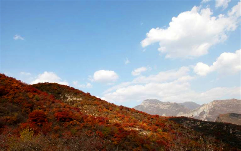 北京及周边地区徒步路线推荐一： 房山波峰岭红叶徒步路线
