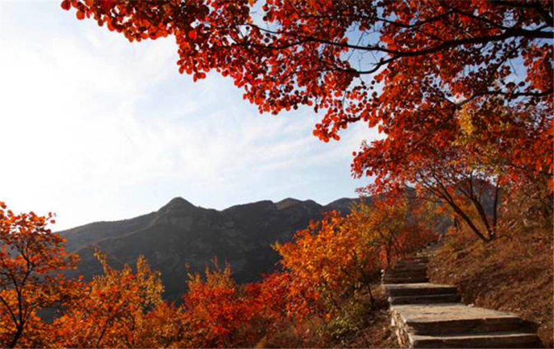 北京及周边地区徒步路线推荐一： 房山波峰岭红叶徒步路线