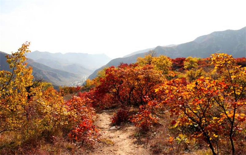 北京及周边地区徒步路线推荐一： 房山波峰岭红叶徒步路线