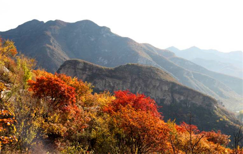 北京及周边地区徒步路线推荐一： 房山波峰岭红叶徒步路线