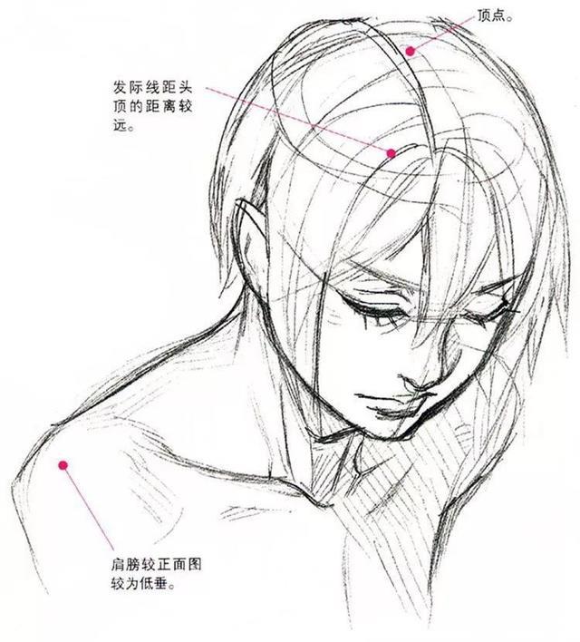 动漫漫画技巧-仰视图和俯视图的画法