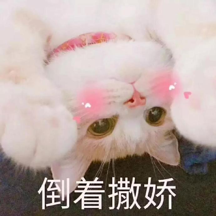 表情包:向你投去期待的小目光