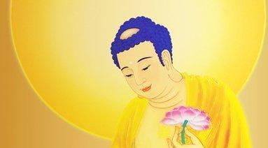 量子力学,神学,佛学的三大碰撞,人生的命运到底掌握在谁的手里