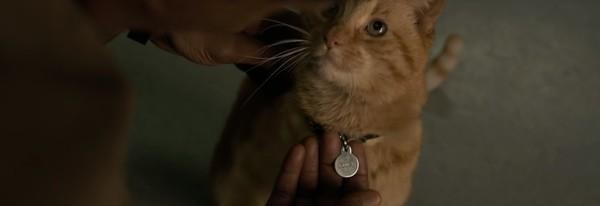 《惊奇队长》宠物猫有玄机!更改原著向这部片