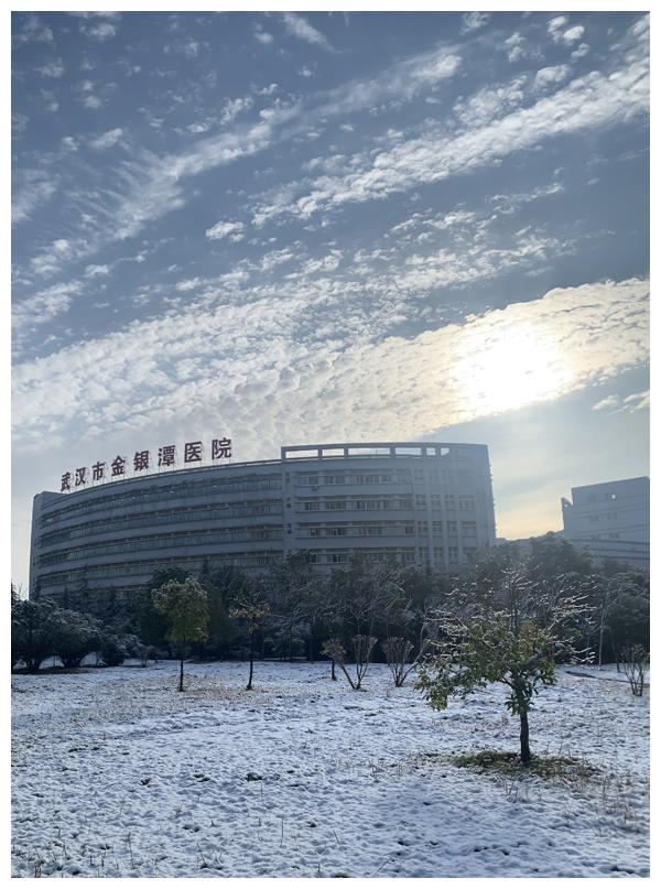 医护日记|说服新冠肺炎死者家属同意尸检,这项工作意义重大