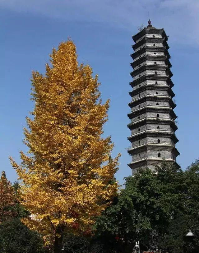 华夏古塔|魁星高照的都江堰奎光塔