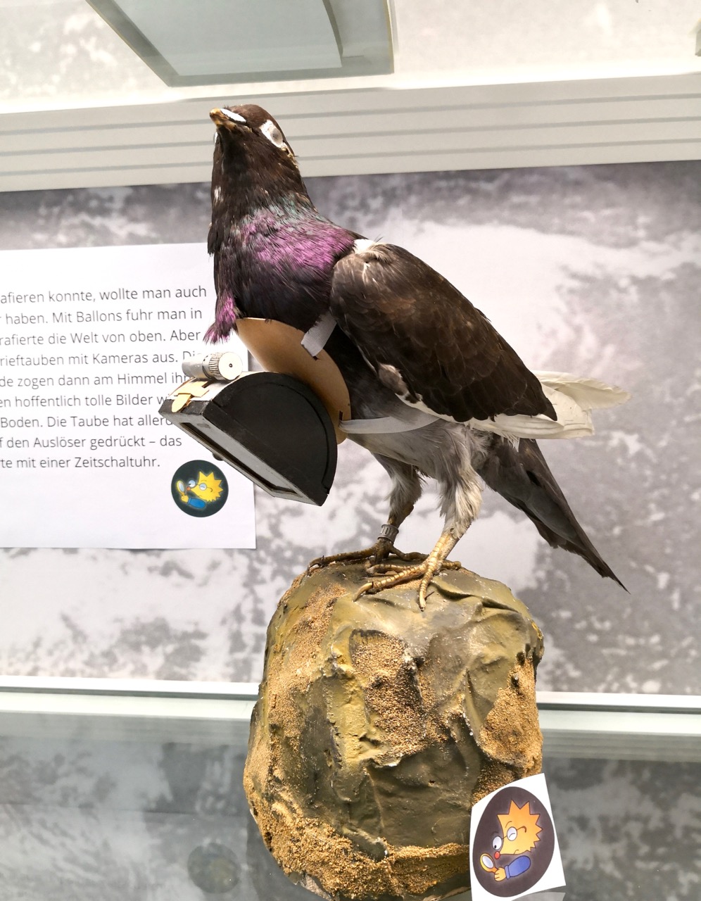 德国最亮城市,因蔡司而闻名于世的光都耶拿