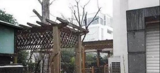 晒晒刘翔上海的豪宅院子里有假山园林,房子装修就超过千万了