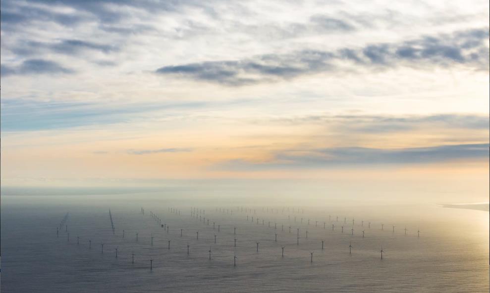 松下与特斯拉、丰田上演三角关系 动力电池领域暗战不断