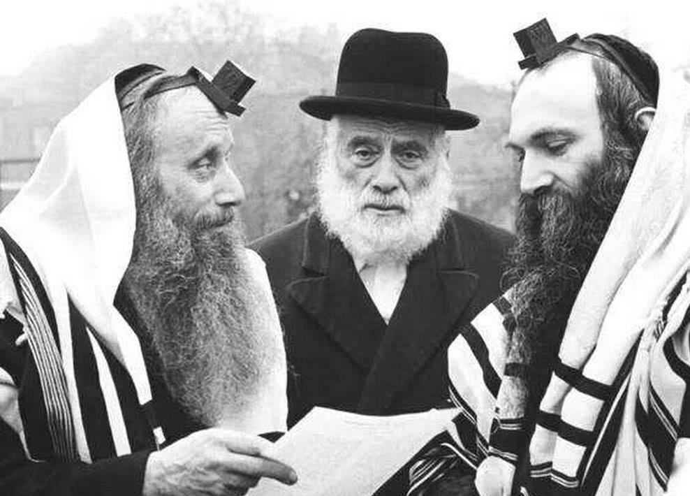 长子多少人口_长子发鸠山图片(3)