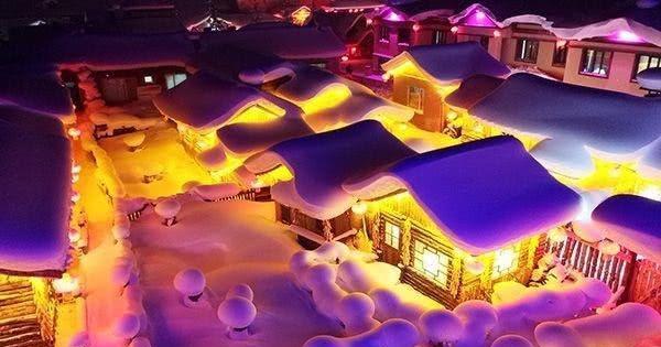 雪乡再次被吐槽，一份小鸡炖蘑菇报价惊人，网友：这就?.