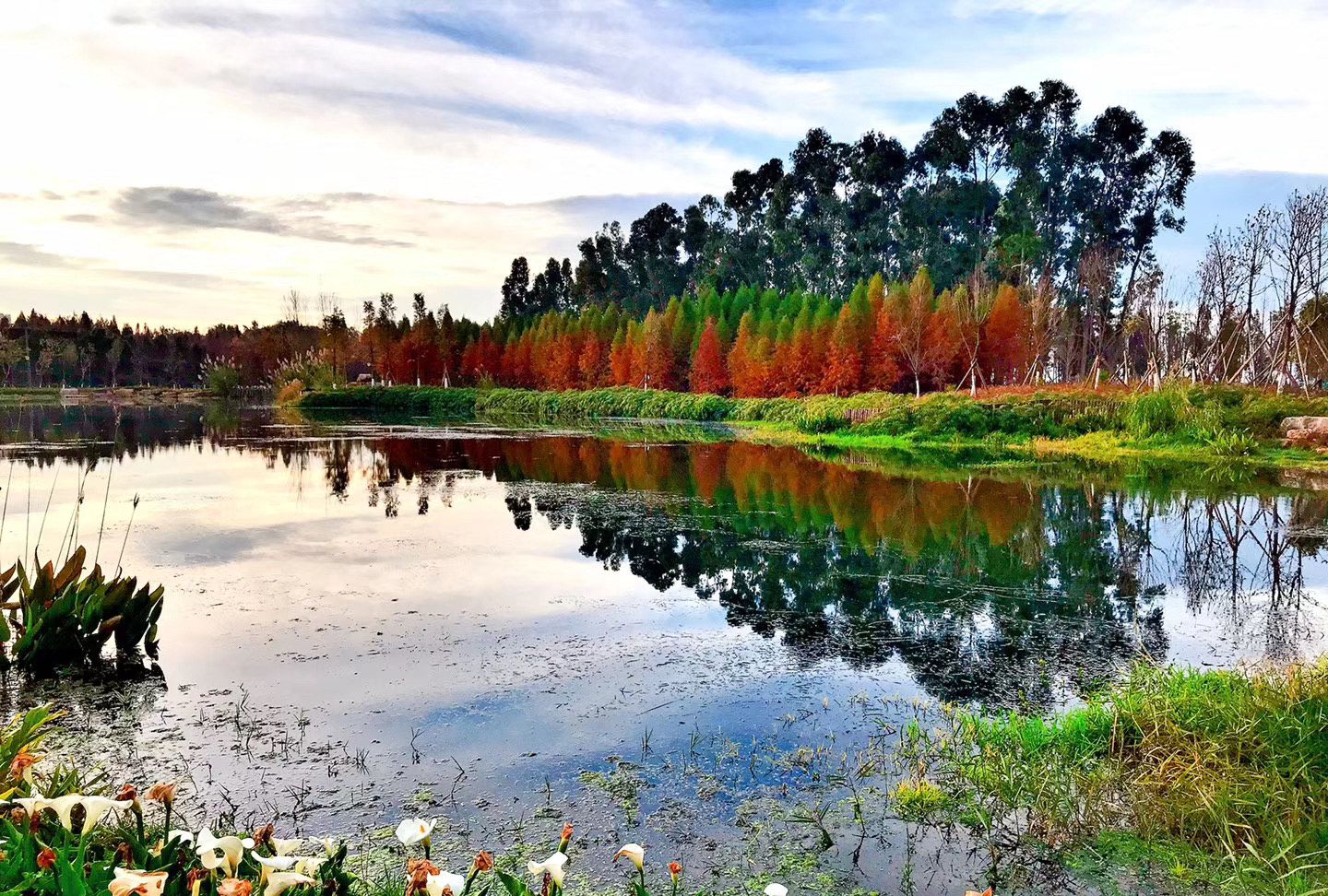 1 / 9 昆明红海湿地公园位于昆明市昆阳镇,是围绕滇池生态以水为主体