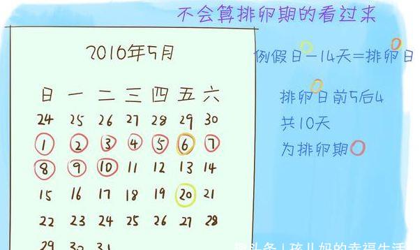 排卵4日前 排卵日付近以外にするのは意味がない？妊活のウソ・ホント