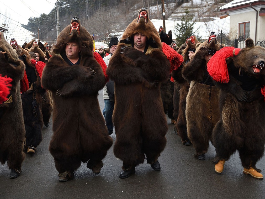 罗马尼亚舞熊节人们穿真熊皮驱邪该节日导致大量棕熊被猎杀