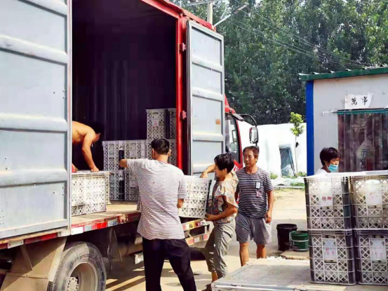 厉害了！“一只鸭”成就10亿大产业