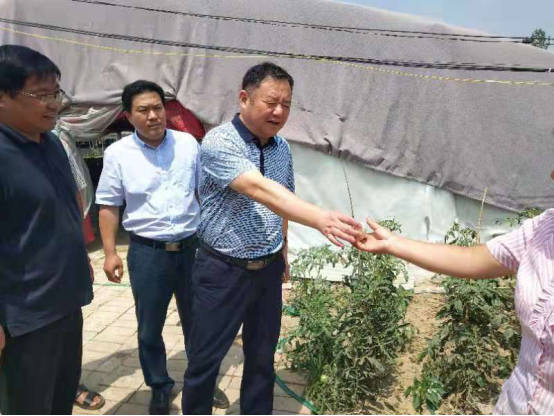 厉害了！“一只鸭”成就10亿大产业