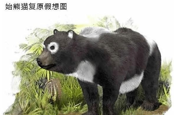 传说中的旷古第一神兽食铁兽, 真正上了战场上之后, 把蚩尤坑惨了