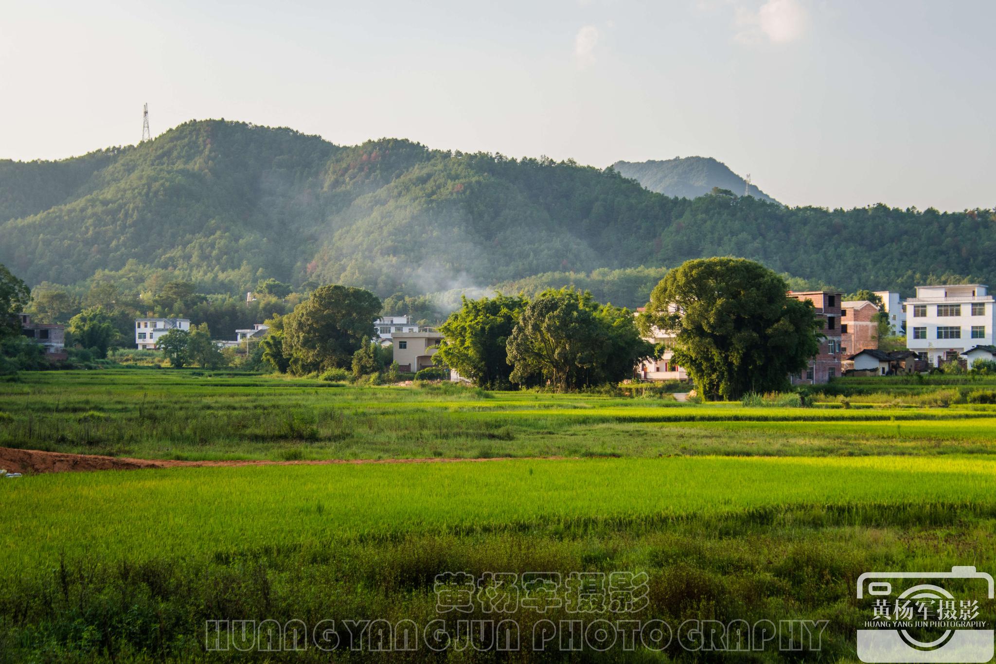 秋日美丽的赣南乡村,赣县区大埠村夕阳下的熟悉景色,不变的模样_高清