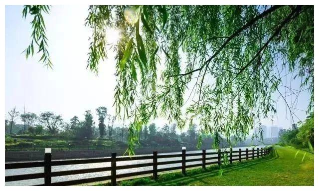 湖北最新天气预报:明天起,太阳将大面积登场!1