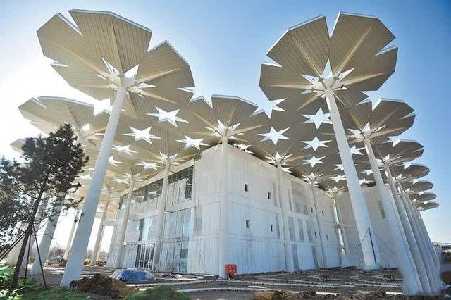 永宁阁成北京世园会的最新黑马,强占鳌头风