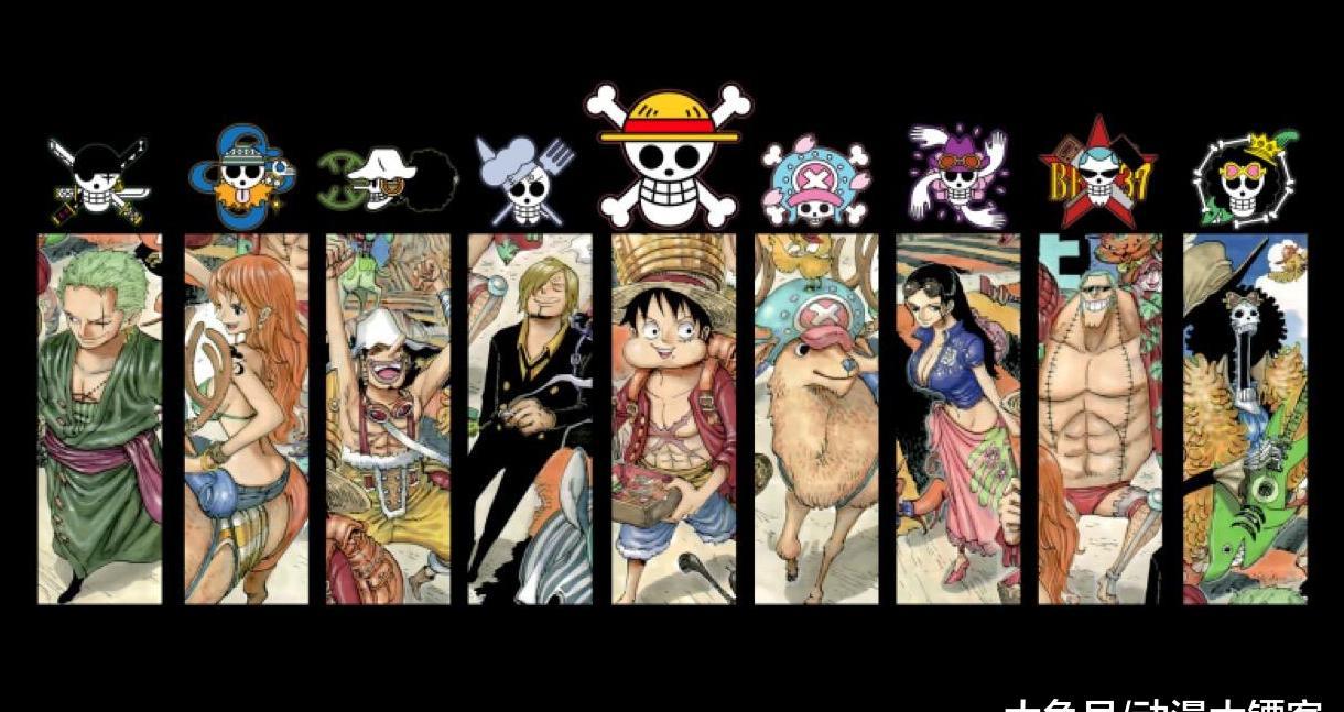 海贼王:谁会成为草帽海贼团第十一人?还会有人加入吗?