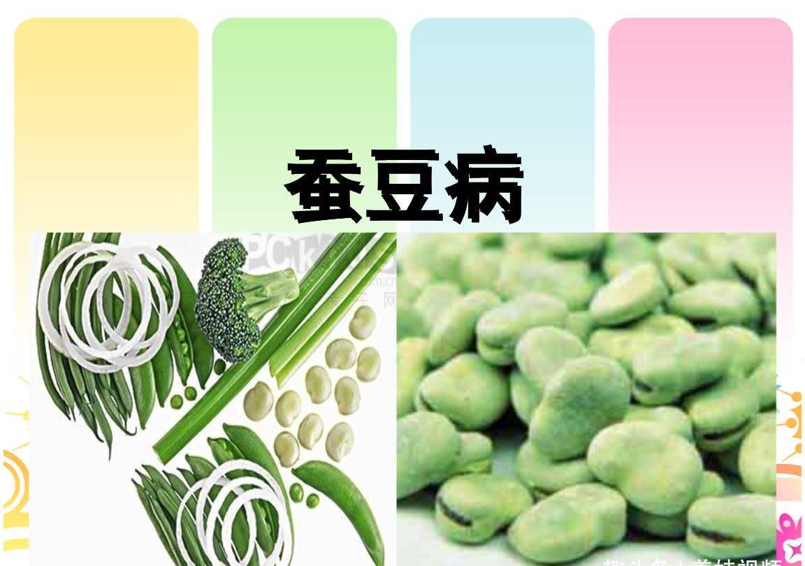 宝宝发黄像印度人,医院确诊"蚕豆病",男童患病几率最高