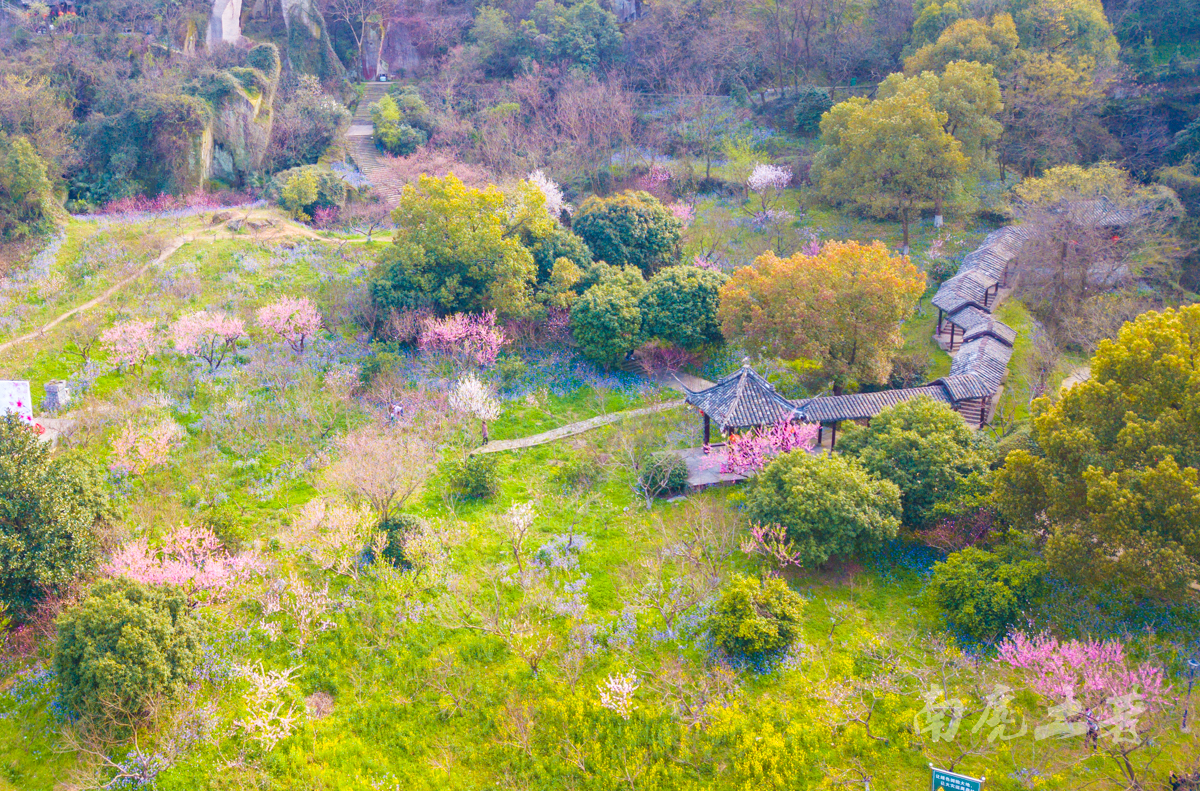 出发,去吼山交交桃花运吧