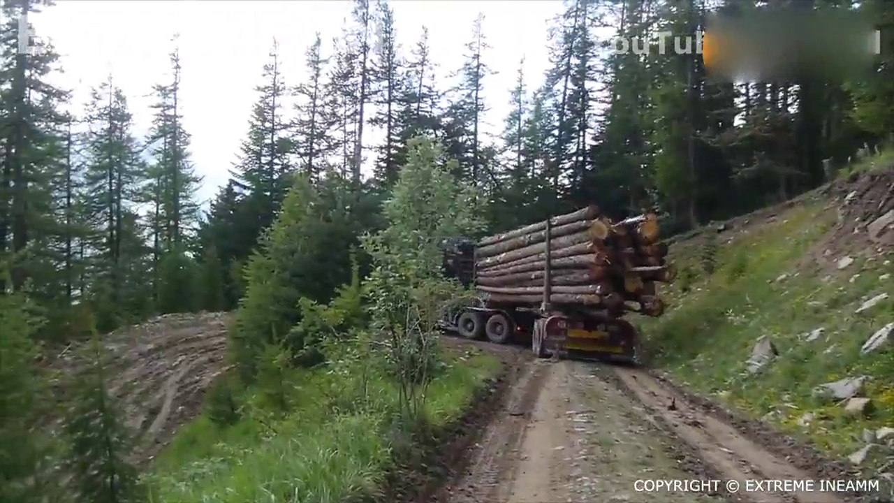 技术不一般 看满载木材的卡车过发卡弯