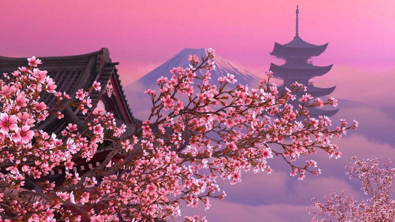 富士山下那一抹樱花红